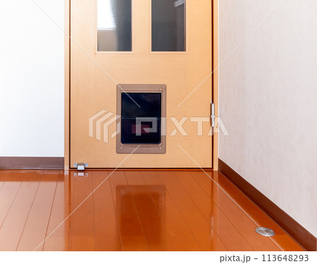 ペット専用ドア 113648293