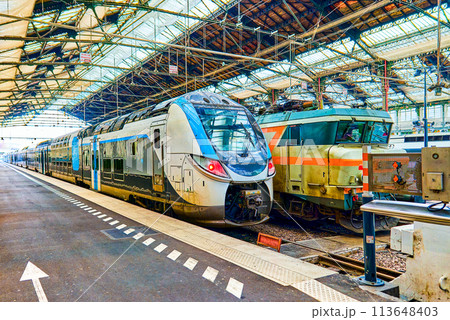 Gare de Lyon Train  station in Paris. 113648403