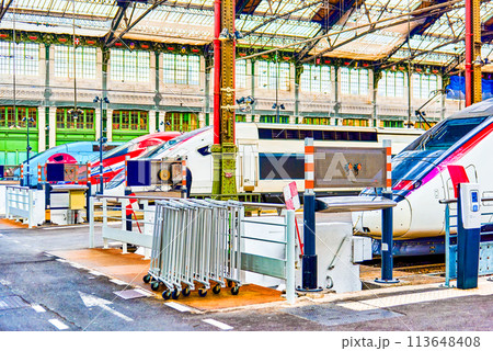 Gare de Lyon Train station in Paris. Gare de Lyon Train station in Paris. 113648408