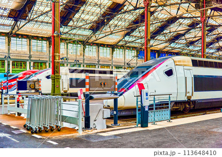 Gare de Lyon Train  station in Paris. 113648410