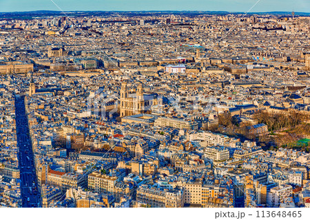 View from the Montparnasse tower on Paris in early spring. View from the Montparnasse tower on Paris in early spring. 113648465