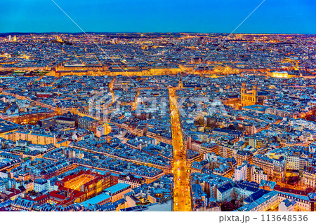 View from the Montparnasse tower on Paris in early spring. 113648536