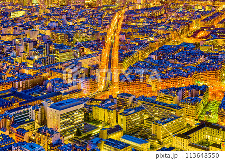 View from the Montparnasse tower on Paris in early spring. 113648550