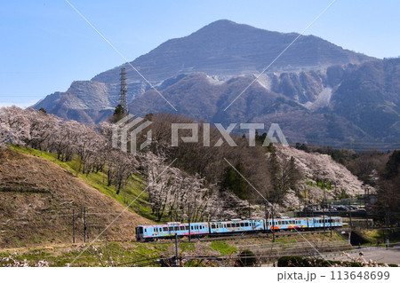 咲き始めた桜と武甲山を背景に走る52席の至福　西武秩父線 113648699
