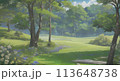 "爽やかな風が吹く丘の上の森と野花 113648738