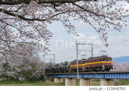 咲いた桜の横を走る三岐鉄道ED45+貨車 咲いた桜の横を走る三岐鉄道ED45+貨車 113648761
