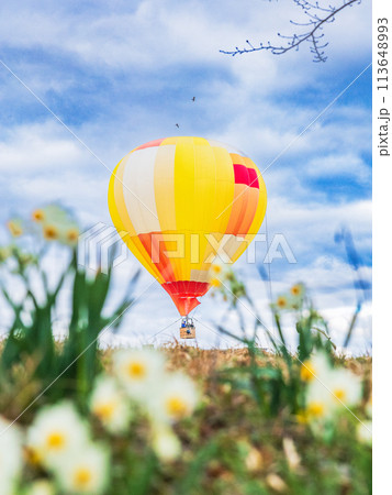 花畑に浮かぶバルーン 113648993
