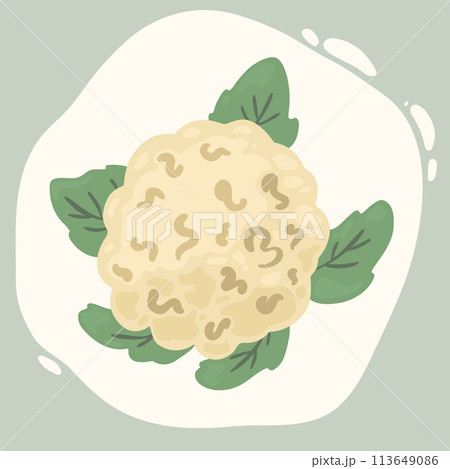 White fresh cauliflower, cabbage, vegetables White fresh cauliflower, cabbage, vegetables 113649086