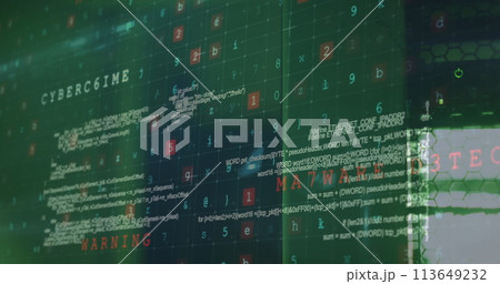 Image of data processing and cyber attack warning over computer servers Image of data processing and cyber attack warning over computer servers 113649232