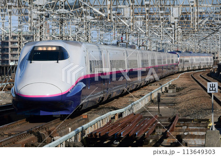 E2系1000番台+E3系 大宮 E2系1000番台+E3系 大宮 113649303