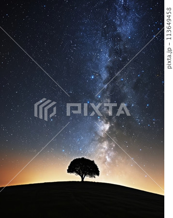 A solitary tree stands under the cosmic expanse of the star-filled Milky Way, radiating tranquility in the night. 113649458