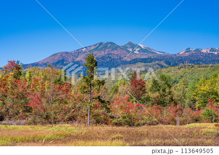 （長野県）乗鞍高原　一の瀬園地・どじょう池の紅葉 113649505