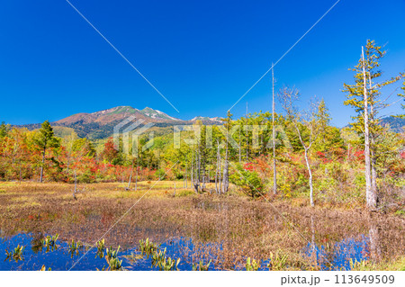 （長野県）乗鞍高原　一の瀬園地・どじょう池の紅葉 113649509