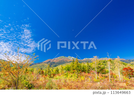 （長野県）秋の乗鞍高原　一の瀬園地から望む山頂 113649663