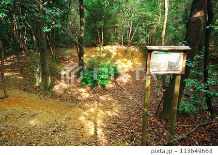 名古屋市　相生山緑地の戦争遺跡（爆弾穴） 113649668