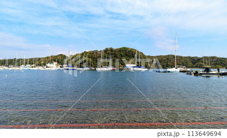 青い空と青い海(小網代湾) 青い空と青い海(小網代湾) 113649694