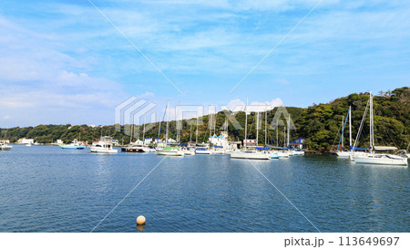 青い空と青い海（小網代湾） 113649697