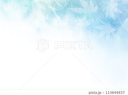 雲竜紙青色と紅葉 雲竜紙青色と紅葉 113649837