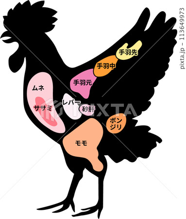 鶏肉部位 鶏肉部位 113649973