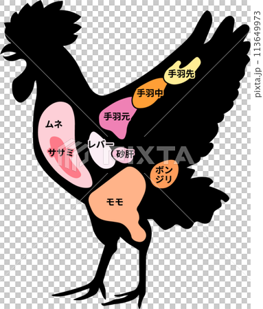 Chicken part Chicken part 113649973