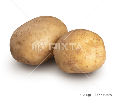 じゃがいも 113650689