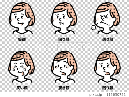 いろんな表情の女性のイラスト いろんな表情の女性のイラスト 113650721