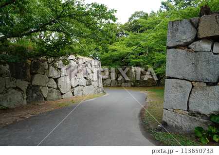 萩城跡 113650738
