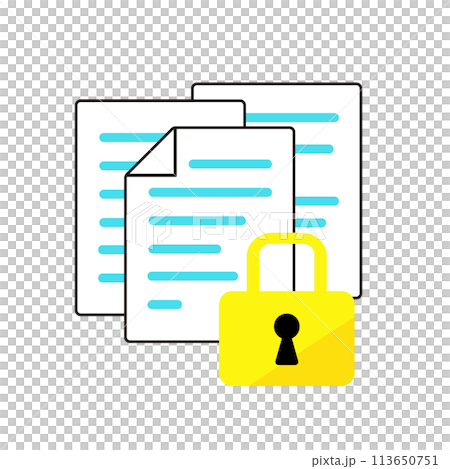 Document and padlock icon 113650751