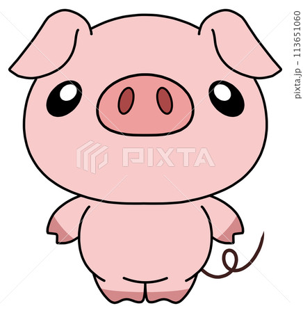 豚(ピンク) 単体 正面1 豚(ピンク) 単体 正面1 113651060