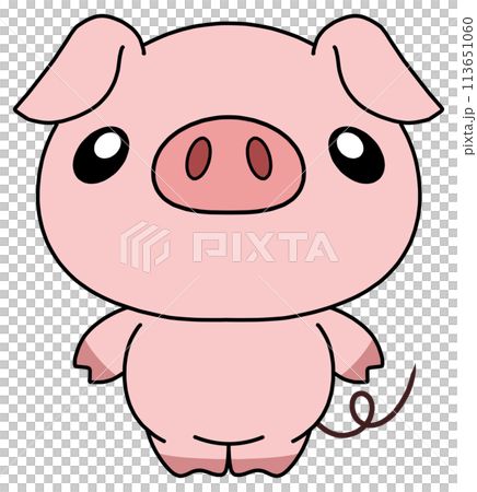 豚(ピンク) 単体 正面1 豚(ピンク) 単体 正面1 113651060