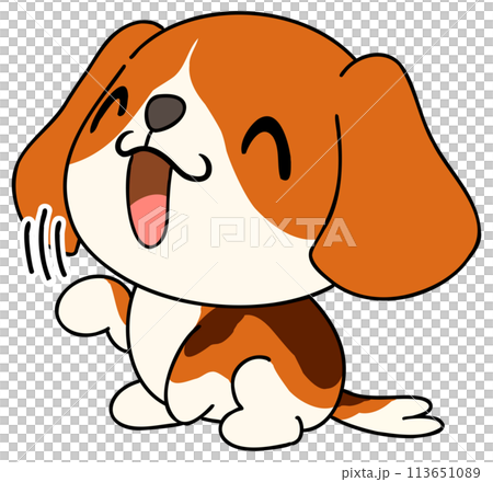 犬(ビーグル) 単体 お手 犬(ビーグル) 単体 お手 113651089