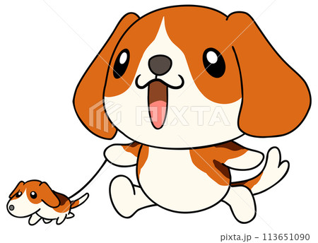 犬（ビーグル）　単体　散歩 113651090