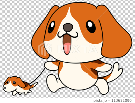 犬（ビーグル）　単体　散歩 113651090