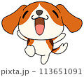 犬（ビーグル）　単体　喜ぶ1 113651091