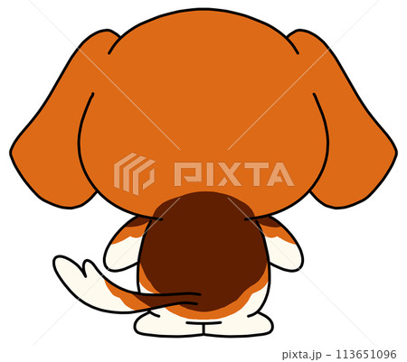 犬(ビーグル) 単体 背中 犬(ビーグル) 単体 背中 113651096