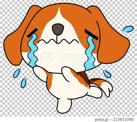 狗（比格犬）獨自哭泣 113651098