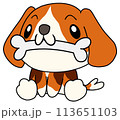 犬（ビーグル）　単体　骨 113651103