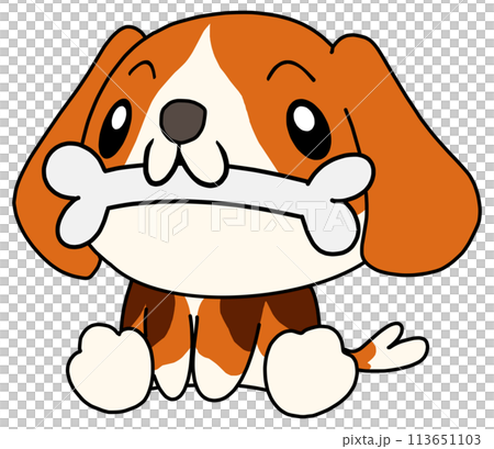 Dog (Beagle) Single Bone Dog (Beagle) Single Bone 113651103