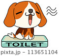 犬（ビーグル）　単体　トイレ 113651104