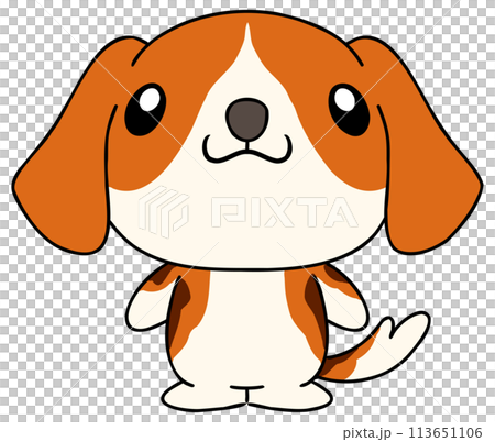 狗（比格犬）單前1 113651106