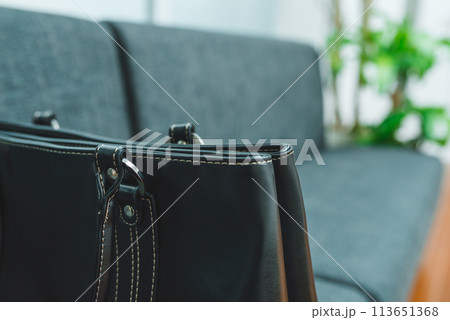 女性用のビジネスカバン 女性用のビジネスカバン 113651368