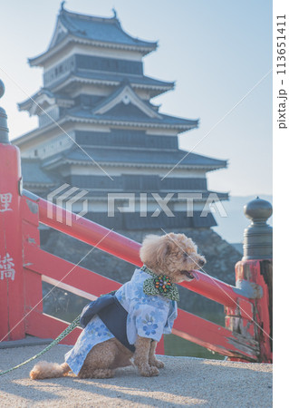 犬と松本城 113651411