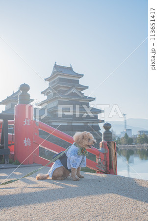 犬と松本城 113651417