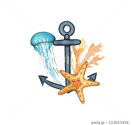 Sea composition with anchor, starfish, jellyfish. Watercolor illustration 113651916