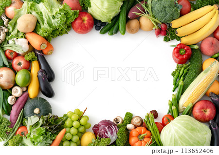 野菜　果物　集合 113652406