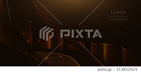 Abstract elegant gold glowing curved line with lighting effect sparkle on black background. Template premium award design. 113652425