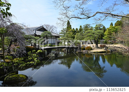 【兵庫県】 姫路城西御屋敷跡庭園 好古園 【兵庫県】 姫路城西御屋敷跡庭園 好古園 113652825