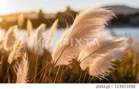 Radiant Reed Flowers Amidst Nature's Canvas - Generative AI 113653096