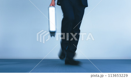 ネイビーのスーツを着たビジネスマン 113653229