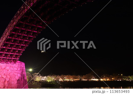 『錦帯橋とサクラ』夜桜 ライトアップ 山口県岩国 #日本観光 Kintai Bridge 『錦帯橋とサクラ』夜桜 ライトアップ 山口県岩国 #日本観光 Kintai Bridge 113653493